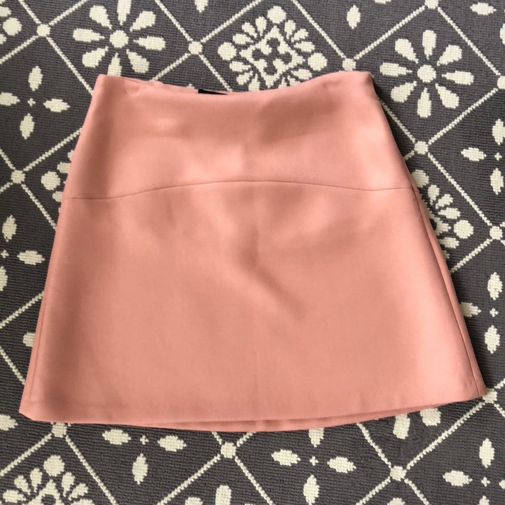 NWT Zara Woman Blush Skirt